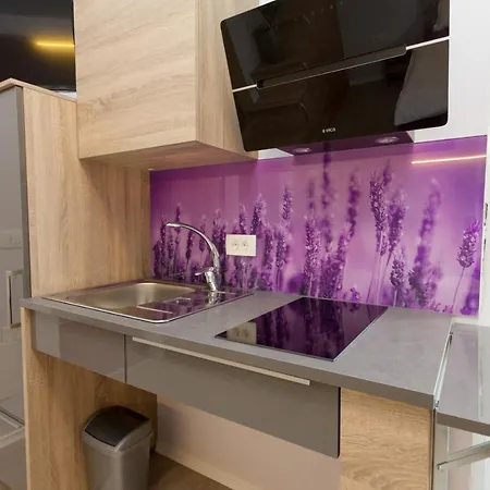Apartment Apartmaji Sobe Zvezda