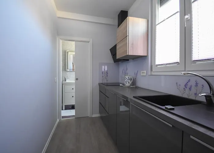 Apartmaji Sobe Zvezda *